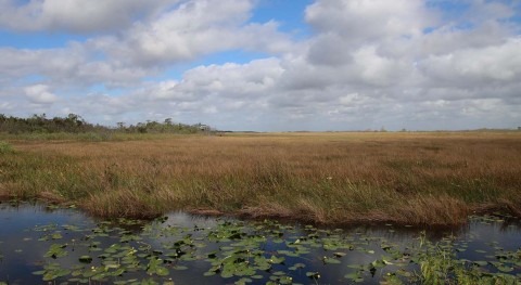 EU allocates €103 million to climate and environment projects across seven countries