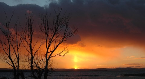 What is the largest river in Turkey?