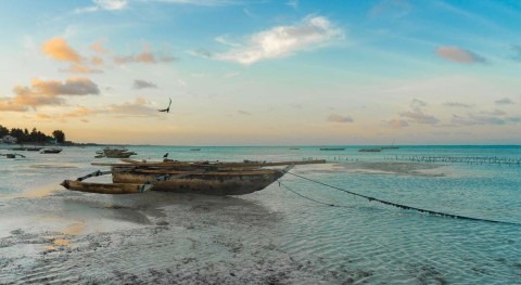 Rand Water expands its reach in Africa with Zanzibar partnership